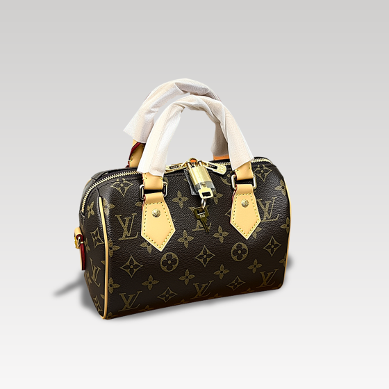 Louis Vuitton Speedy 20 Pillow bag